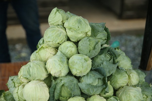 Foto - Ordu'nun yaylasında yetişiyor! Yöre halkına ciddi gelir getiriyor