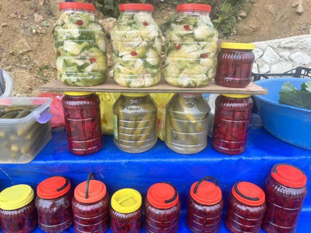 Foto - Ordu'nun yaylasında yetişiyor! Yöre halkına ciddi gelir getiriyor