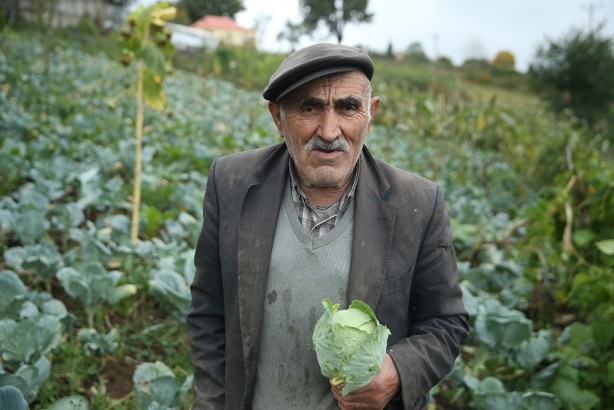Foto - Ordu'nun yaylasında yetişiyor! Yöre halkına ciddi gelir getiriyor