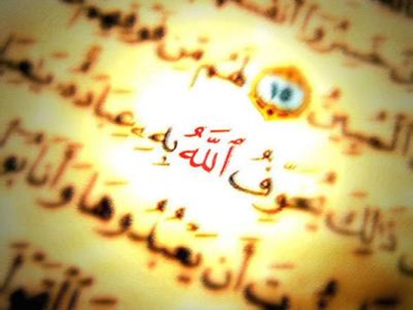 Foto - Organ naklinin İslam'daki yeri 