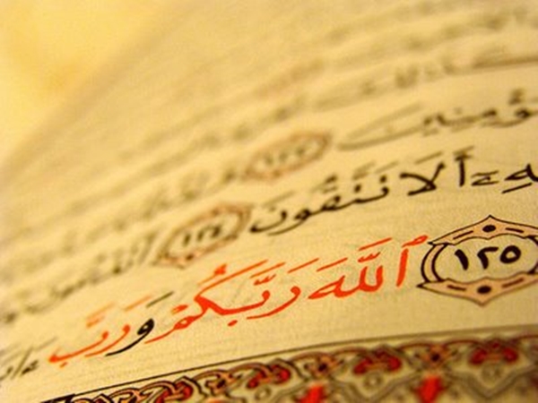 Foto - Organ naklinin İslam'daki yeri 