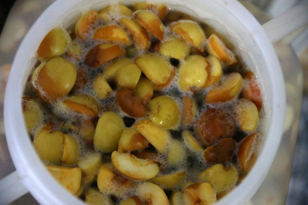 Foto - Organik sirke ararken üretici oldu