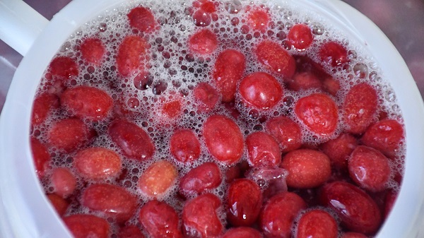 Foto - Organik sirke ararken üretici oldu