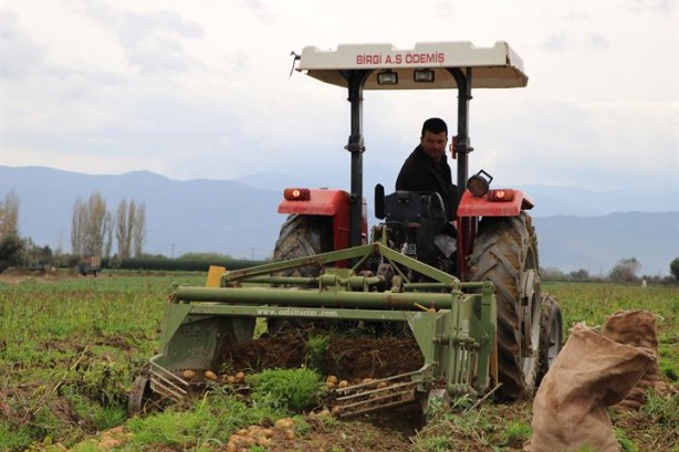 Foto - Organik üretiliyor, piyasanın 3 katı fiyata satılıyor