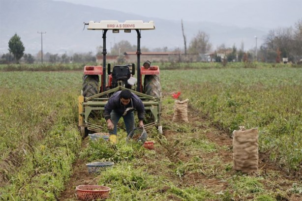 Foto - Organik üretiliyor, piyasanın 3 katı fiyata satılıyor