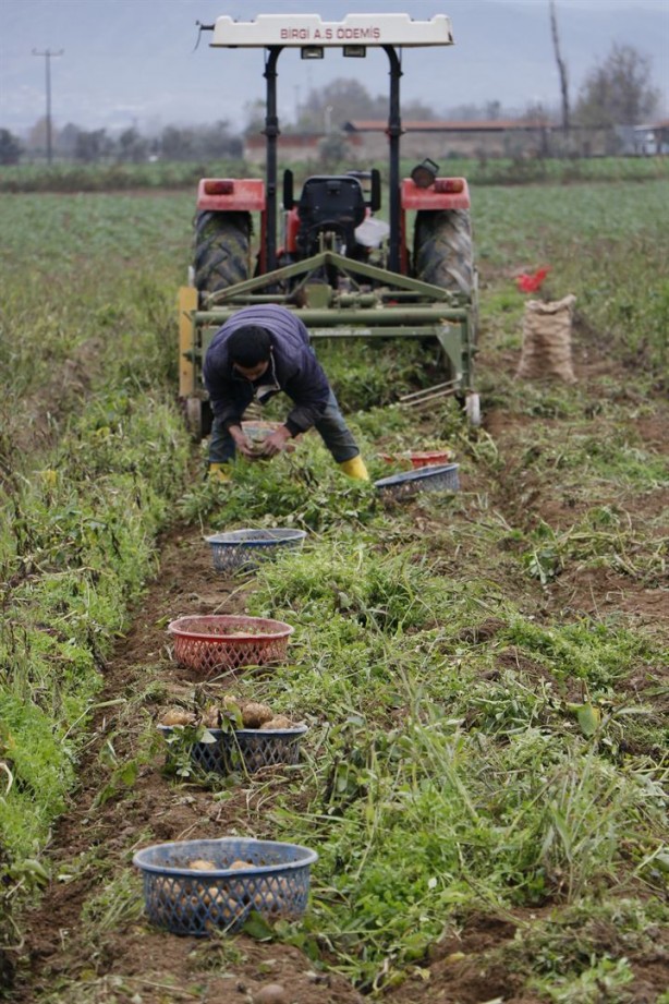Foto - Organik üretiliyor, piyasanın 3 katı fiyata satılıyor