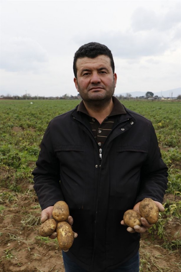 Foto - Organik üretiliyor, piyasanın 3 katı fiyata satılıyor