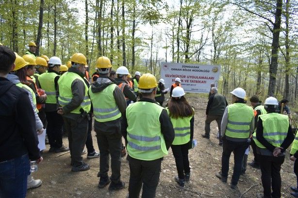 Foto - Orman değerlerini artırmak yerinde sürekli eğitimle sağlanıyor
