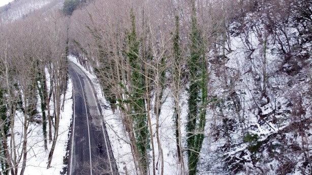 Foto - Orman denizi, tam bir oksijen deposu