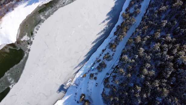 Foto - Orman denizi, tam bir oksijen deposu