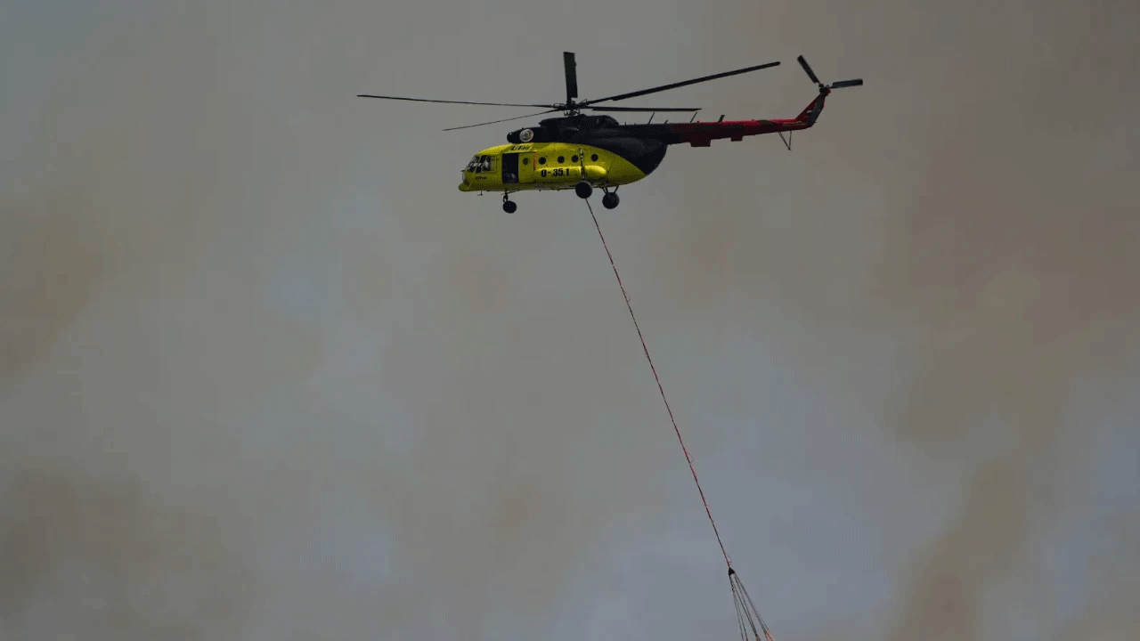 Orman Genel Müdürlüğünden İzmir açıklaması