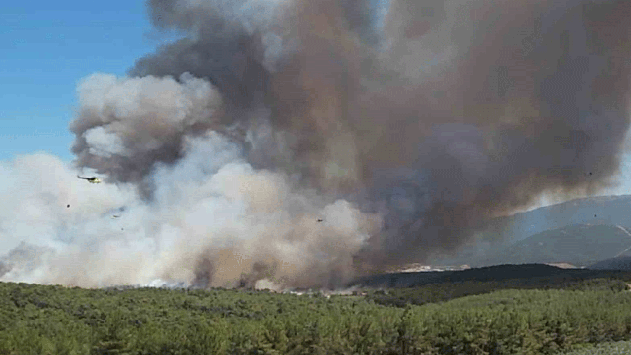 Foto - Orman Genel Müdürlüğünden İzmir açıklaması