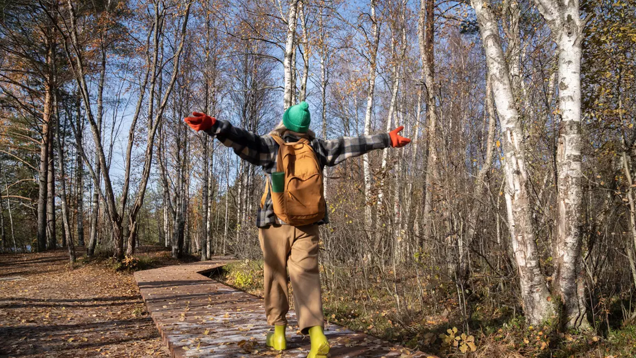 Orman havasının 5 faydası! Uzmanlar peş peşe paylaştı: Sağlık için büyük destek