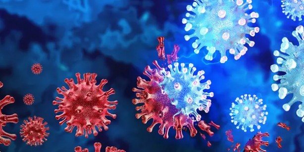 Foto - Orman içinde keşfedilen dev virüsler, böylesi daha önce hiç görülmedi! bilim insanlarını hayrete düşürdü! İnanılmaz