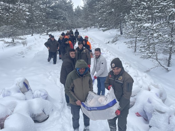 Foto - Orman köylülerinin kışlık odunları depremzedelere yakacak olacak