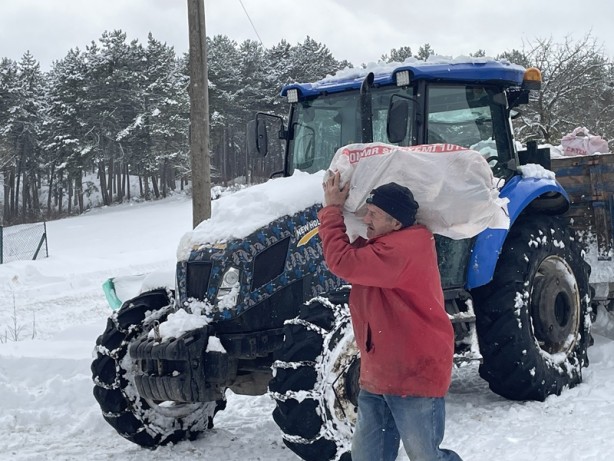Foto - Orman köylülerinin kışlık odunları depremzedelere yakacak olacak