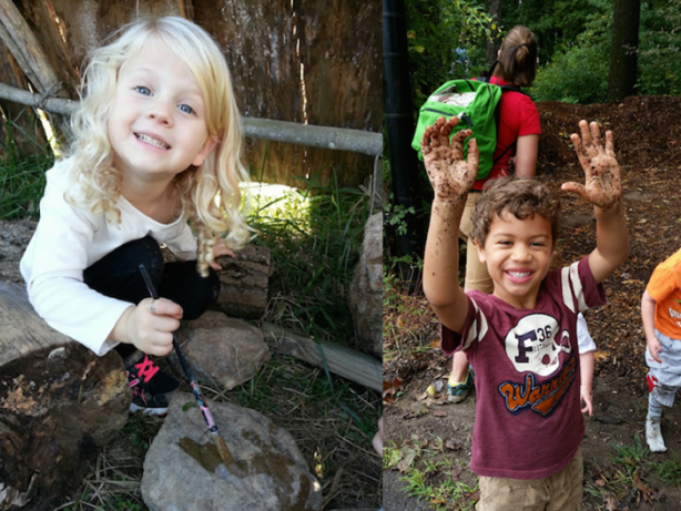 Foto - Orman okullarına hayran kalacaksınız!