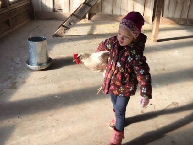 Orman okullarına hayran kalacaksınız!