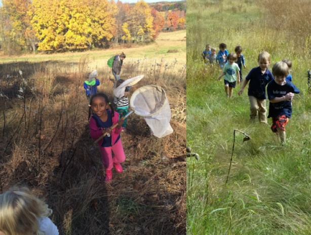 Foto - Orman okullarına hayran kalacaksınız!