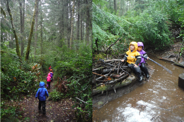 Foto - Orman okullarına hayran kalacaksınız!