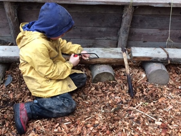 Foto - Orman okullarına hayran kalacaksınız!