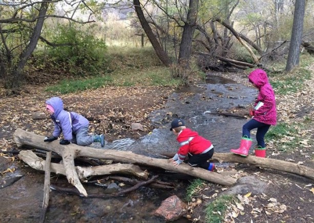 Foto - Orman okullarına hayran kalacaksınız!