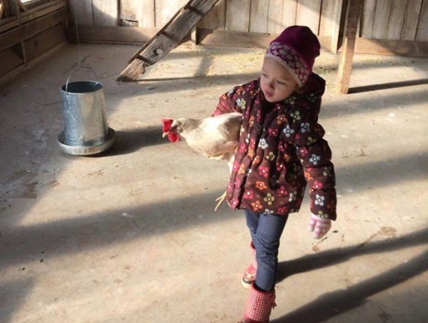 Foto - Orman okullarına hayran kalacaksınız!