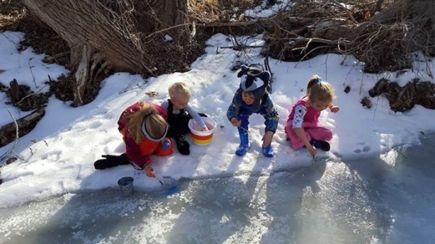 Foto - Orman okullarına hayran kalacaksınız!