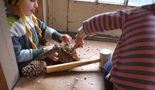 Foto - Orman okullarına hayran kalacaksınız!