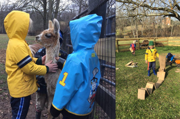 Foto - Orman okullarına hayran kalacaksınız!