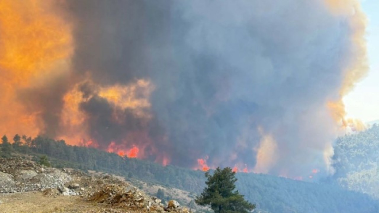 Foto - Orman yangını 3 can daha aldı! İşte yangın felaketindeki son durum