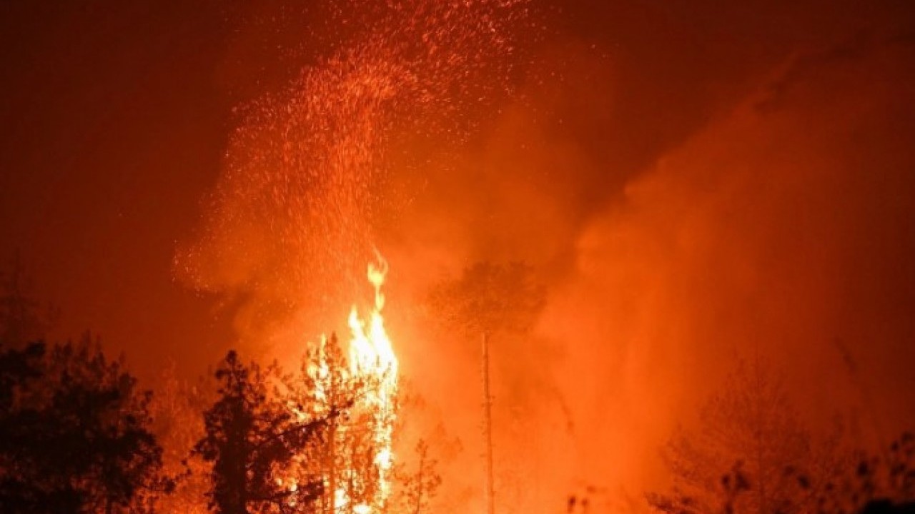 Foto - Orman yangını 3 can daha aldı! İşte yangın felaketindeki son durum