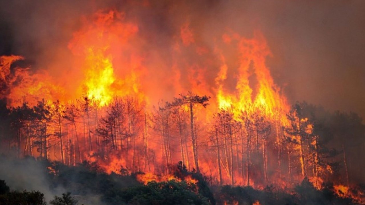 Orman yangını 3 can daha aldı! İşte yangın felaketindeki son durum