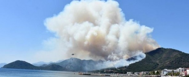Foto - Orman yangını ile karşılaşınca ne yapmalıyız? AKUT paylaştı
