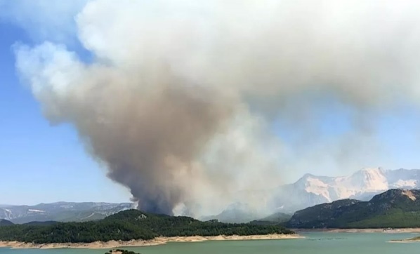 Foto - Orman yangını ile karşılaşınca ne yapmalıyız? AKUT paylaştı