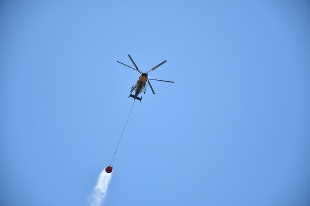 Foto - Orman yangını kontrol altına alındı