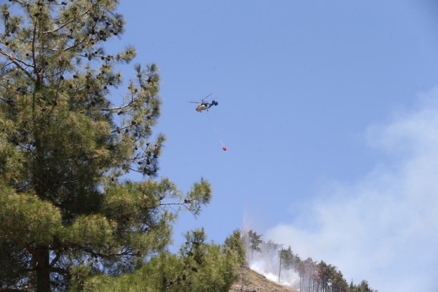 Foto - Orman yangını kontrol altına alındı