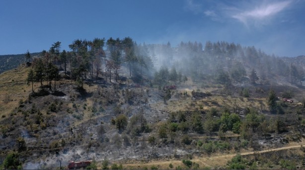 Orman yangını kontrol altına alındı