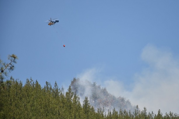 Foto - Orman yangını kontrol altına alındı