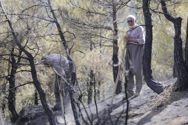 Foto - Orman yangını kontrol altına alındı