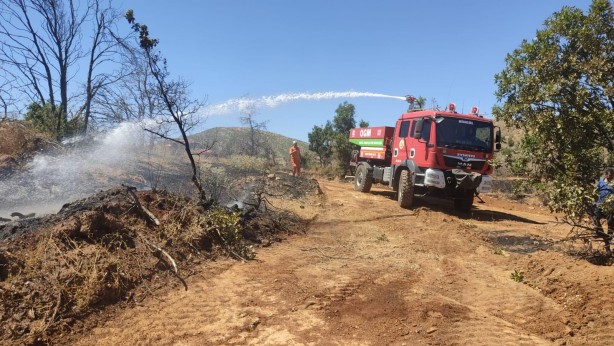 Orman yangını söndürüldü