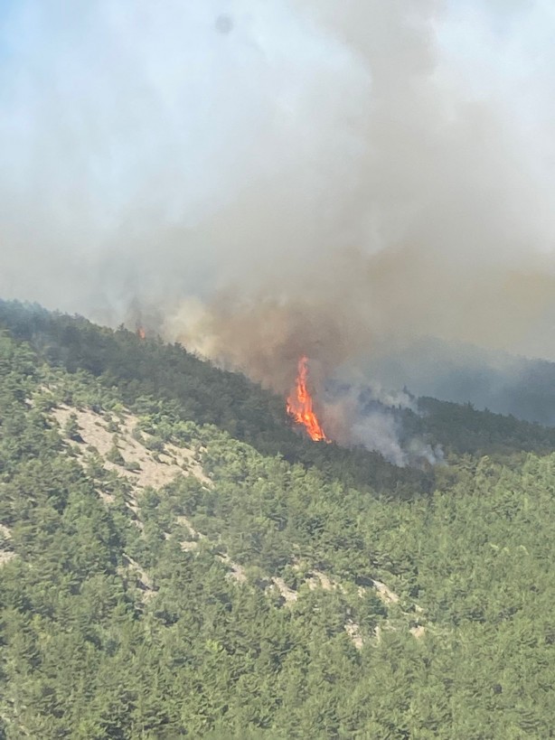 Foto - Orman yangını söndürüldü