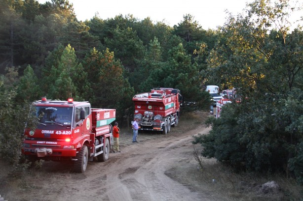 Foto - Orman yangını söndürüldü