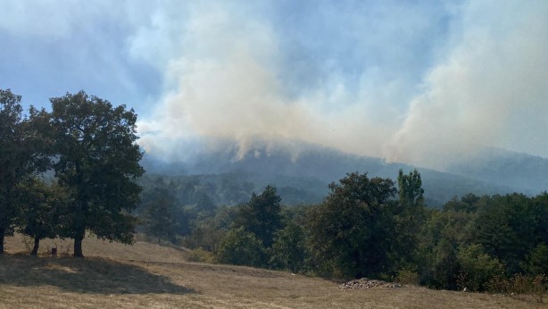Foto - Orman yangını söndürüldü