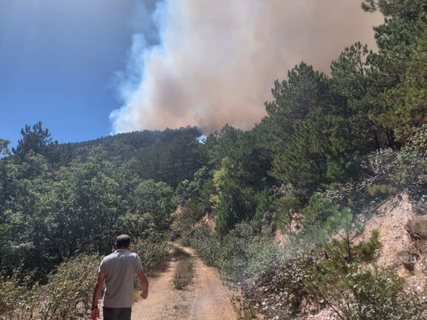 Foto - Orman yangını söndürüldü
