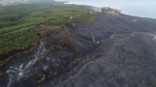 Foto - Orman yangını sonrası Çanakkale'de yürek yakan görüntü