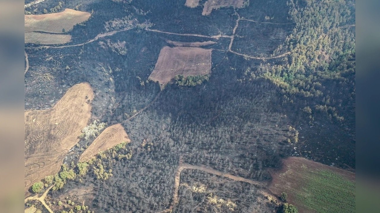 Foto - Orman yangını sonrası kahreden fotoğraflar!