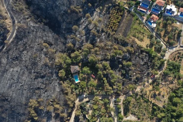 Foto - Orman yangını sonrası kahreden manzara
