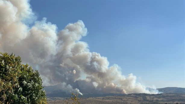 Foto - Orman yangınına havadan ve karadan müdahale