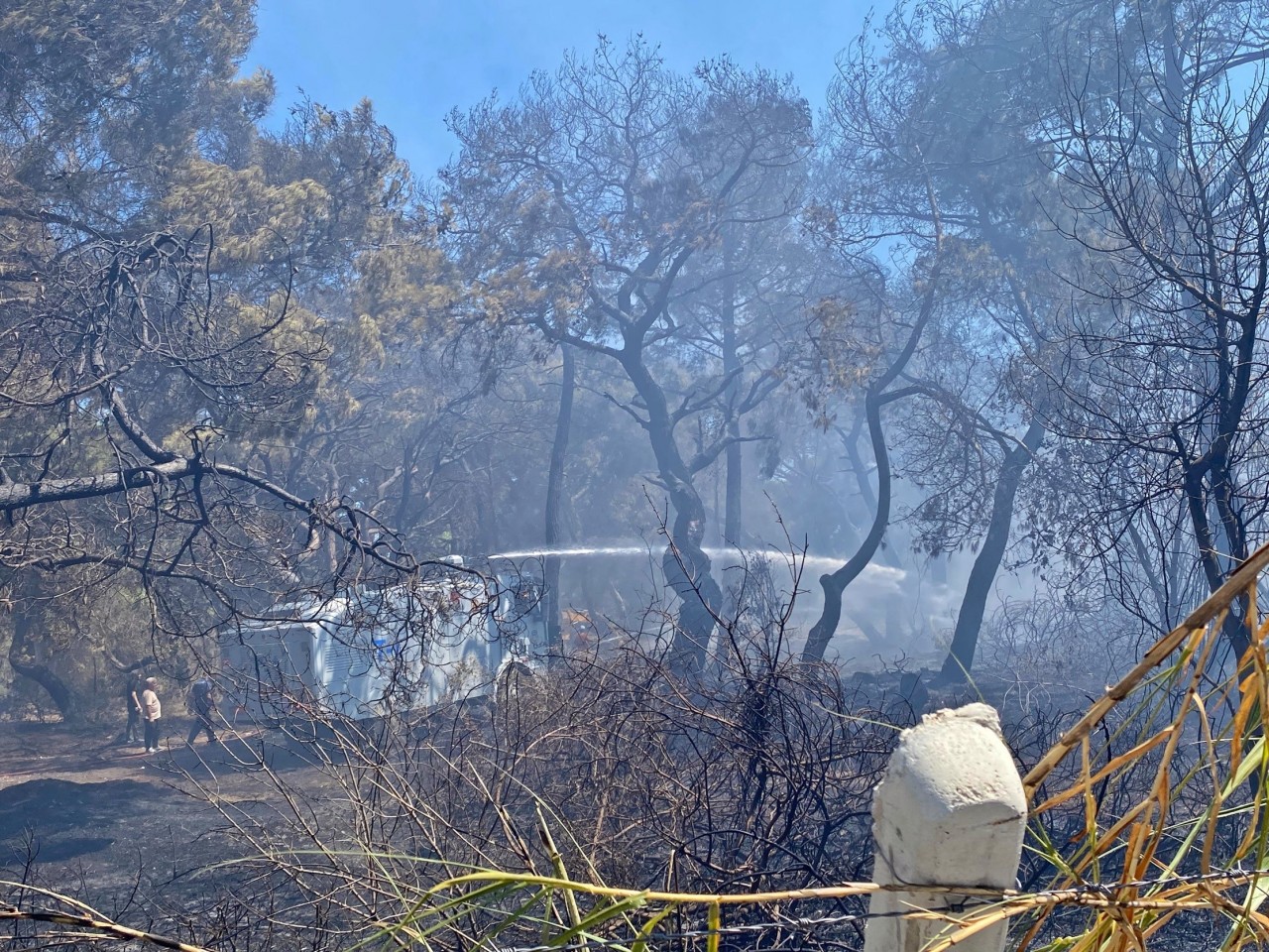 Foto - Orman yangınında duygulandıran anlar! 3 farklı hikaye, büyük acı…